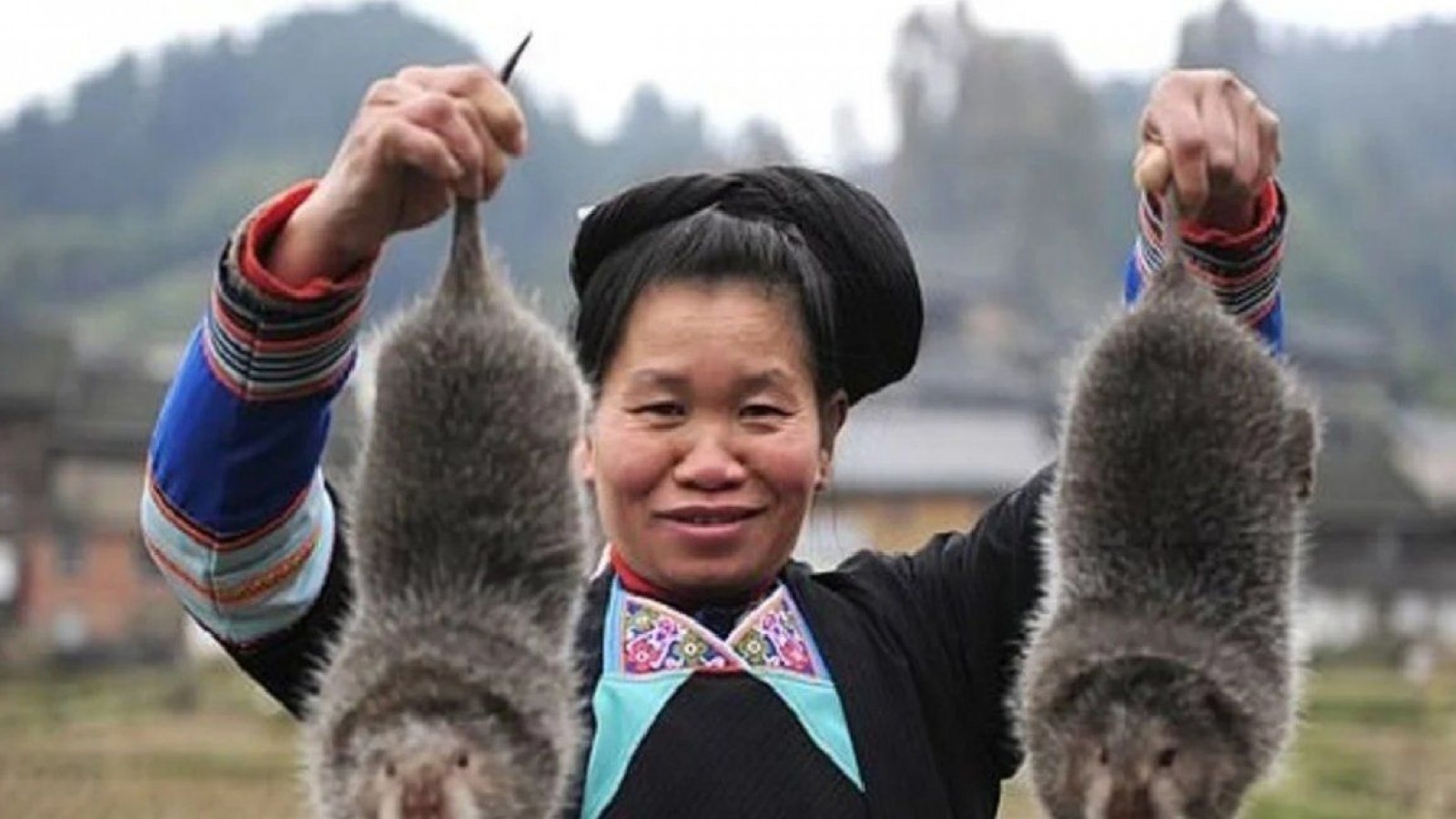 China criaba ratas gigantes usadas para platos gourmet